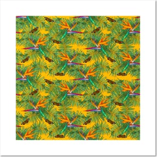 Birds of Paradise Posters and Art